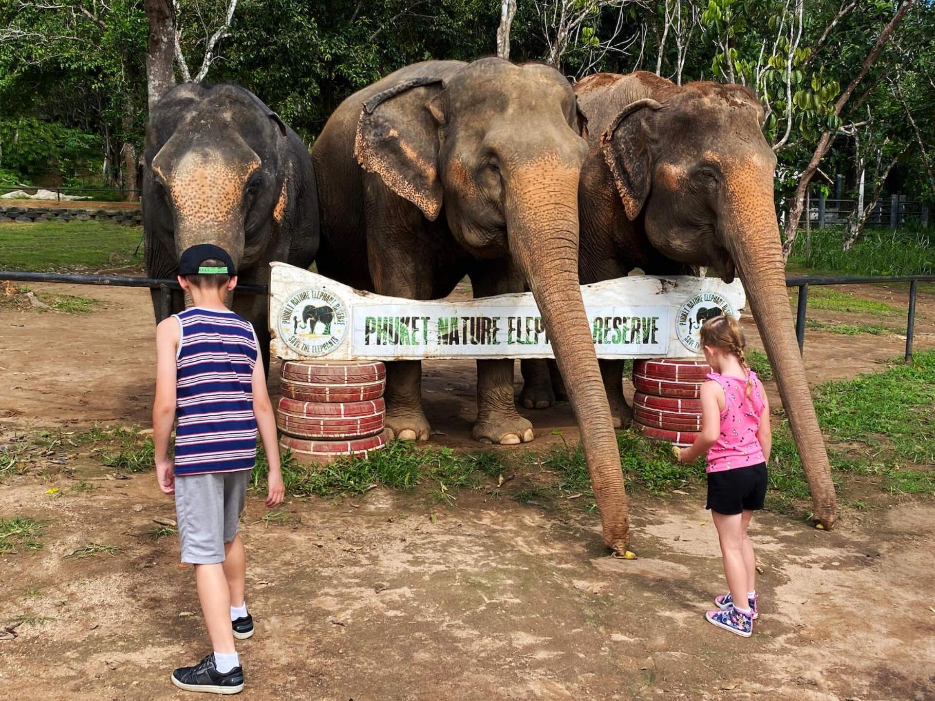 Snooze Inn Phuket - Free Shuttle To Bang Rong Pier Pa Khlok المظهر الخارجي الصورة